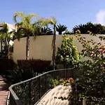 Spacious With 3 Pools & Gym Appartement